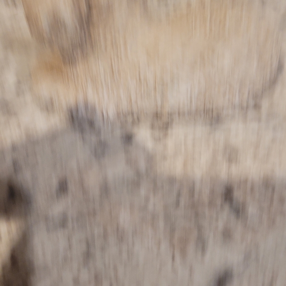 Sandicast Tan Apricot Poodle Laying Down - Picture 4 of 6